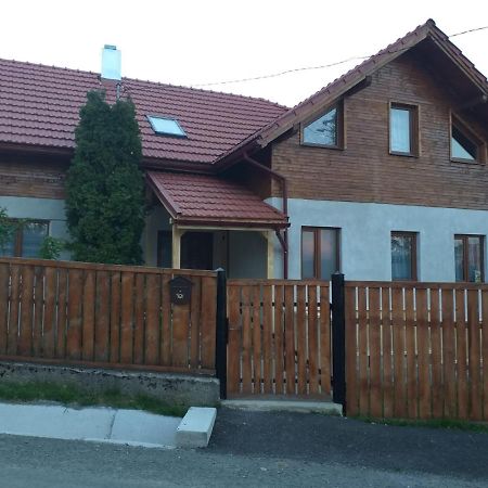 Pensiunea Floare De Colt Beliş Екстериор снимка