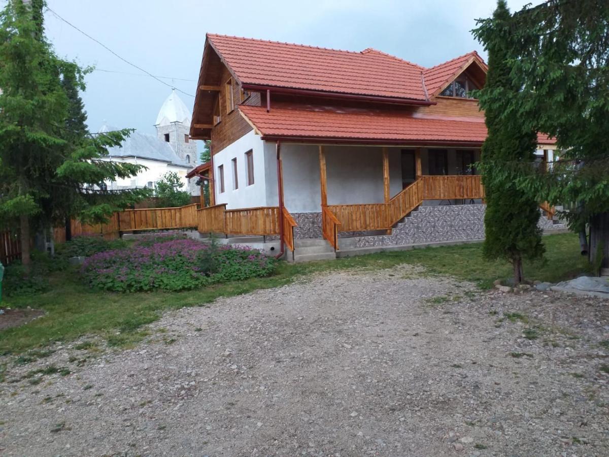 Pensiunea Floare De Colt Beliş Екстериор снимка