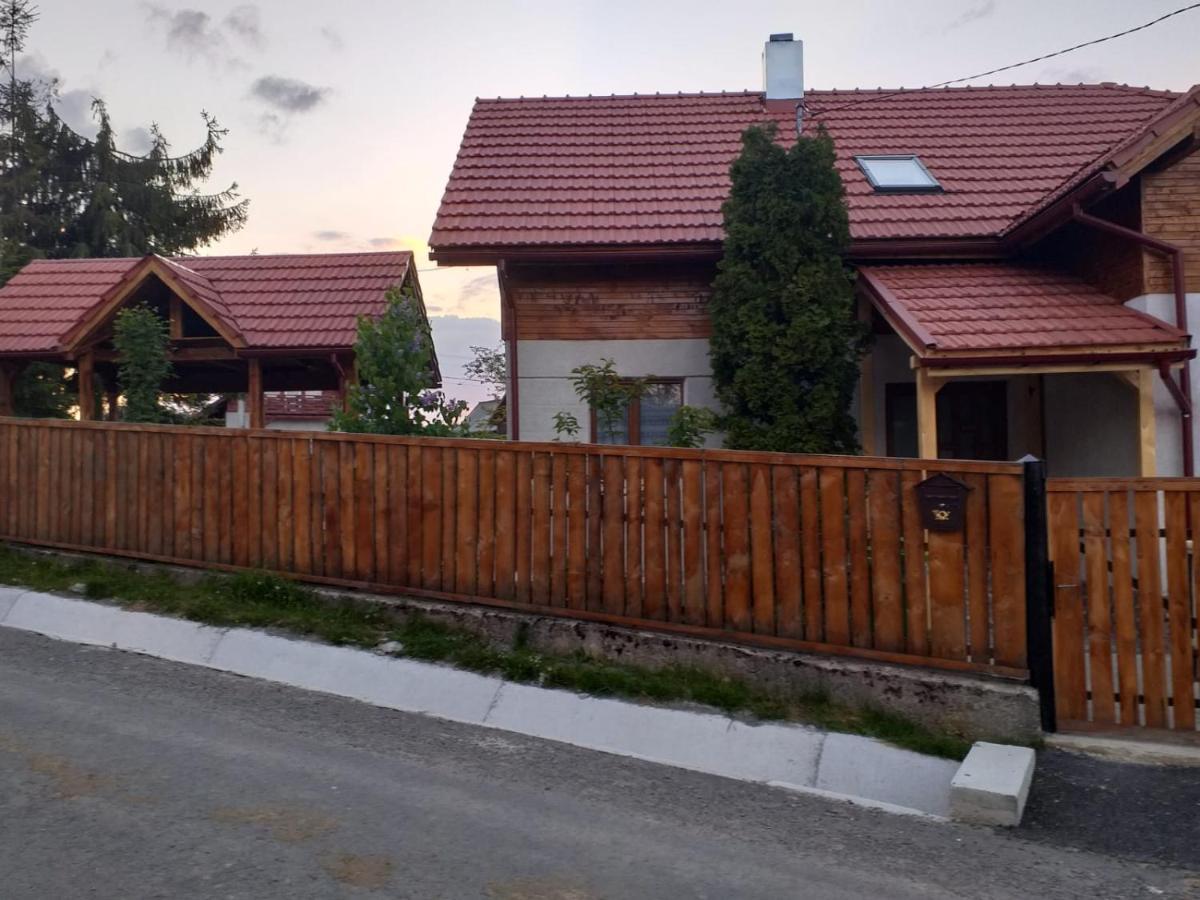 Pensiunea Floare De Colt Beliş Екстериор снимка